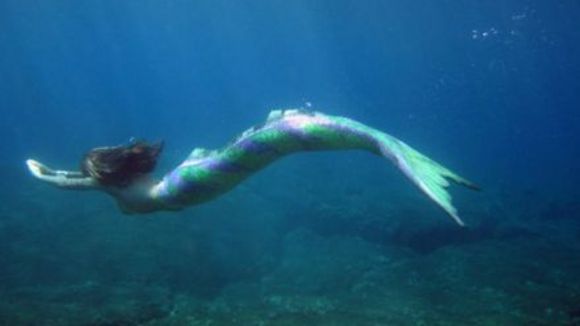 Photo from the movie Fishtales