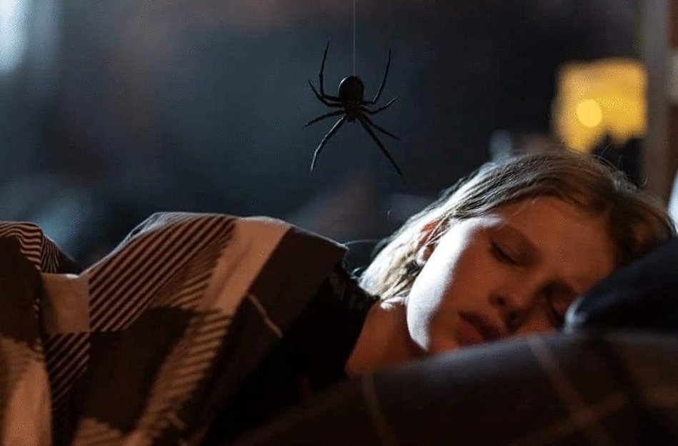 Photo from the movie Sting