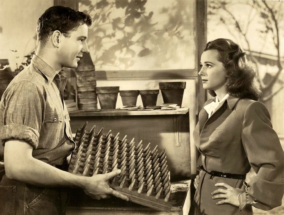 Photo from the movie This Man's Navy