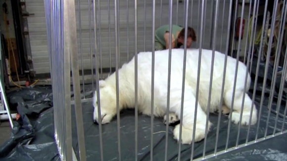 Photo from the movie The Yes Men Are Revolting