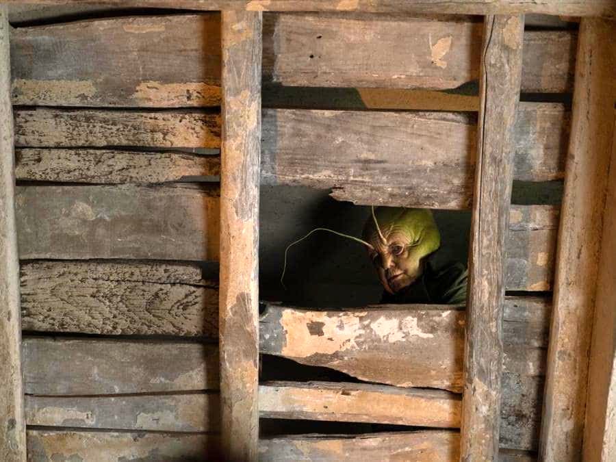 Photo from the movie Pinocchio v.f.