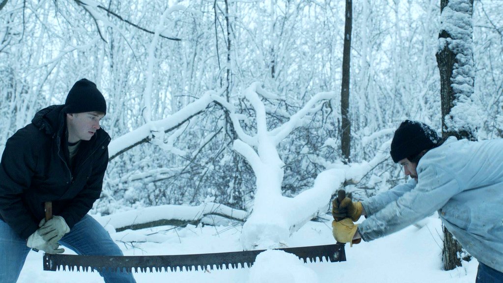 Photo from the movie Aquarians