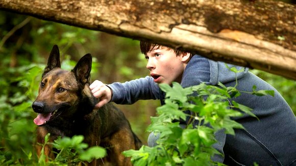 Photo from the movie Max