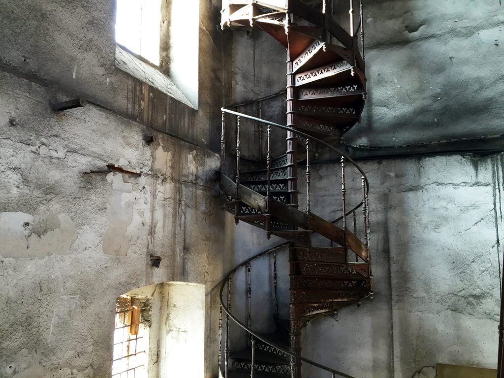 Photo from the movie Red Trees