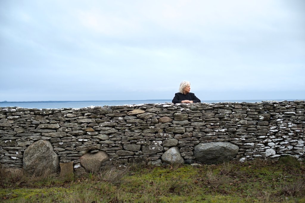 Photo from the movie Searching for Ingmar Bergman