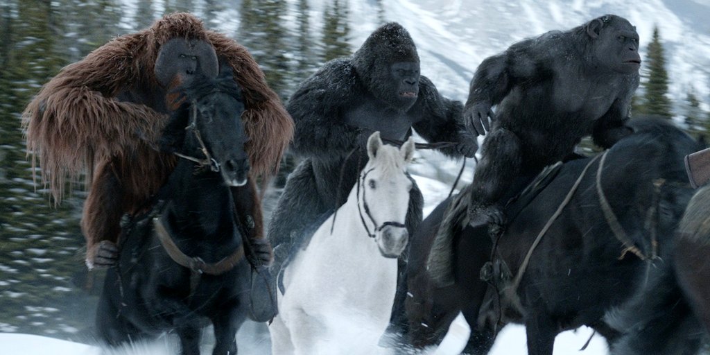 Photo from the movie War for the Planet of the Apes
