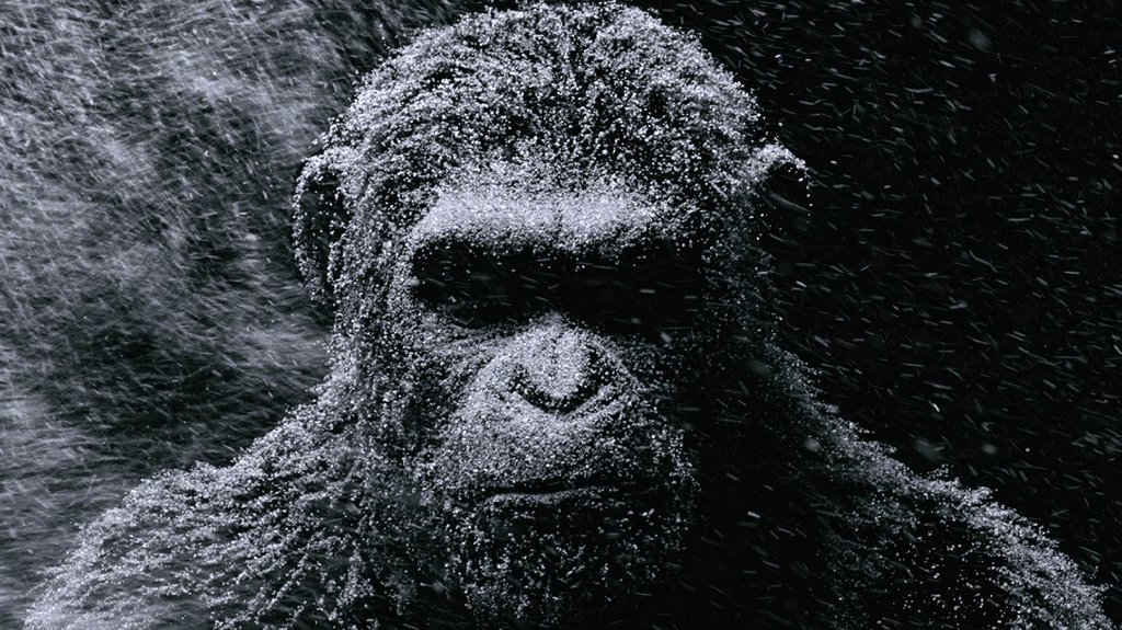 Photo from the movie War for the Planet of the Apes