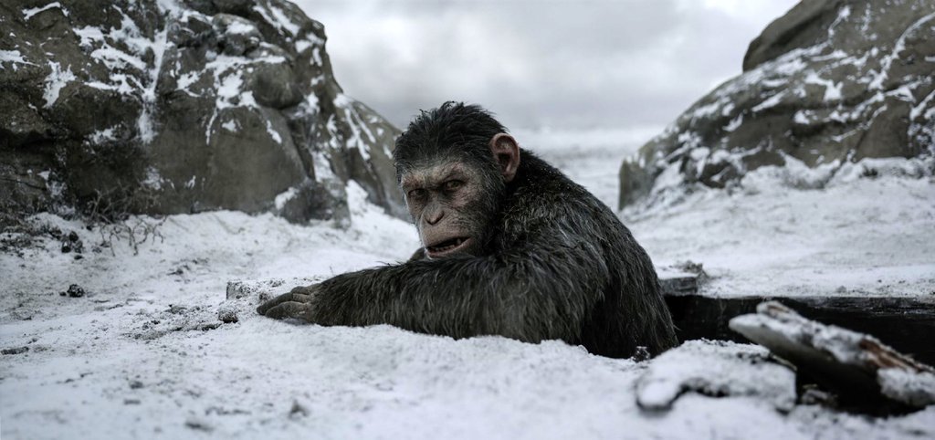 Photo from the movie War for the Planet of the Apes
