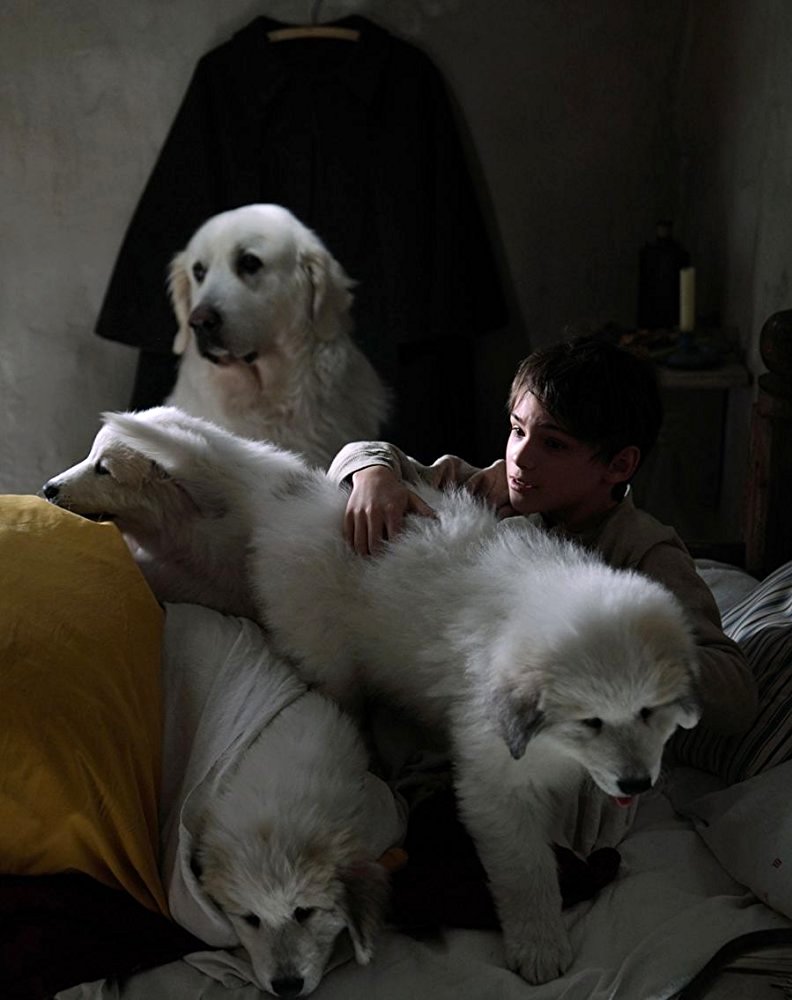 Photo from the movie Belle and Sebastian, Friends for Life