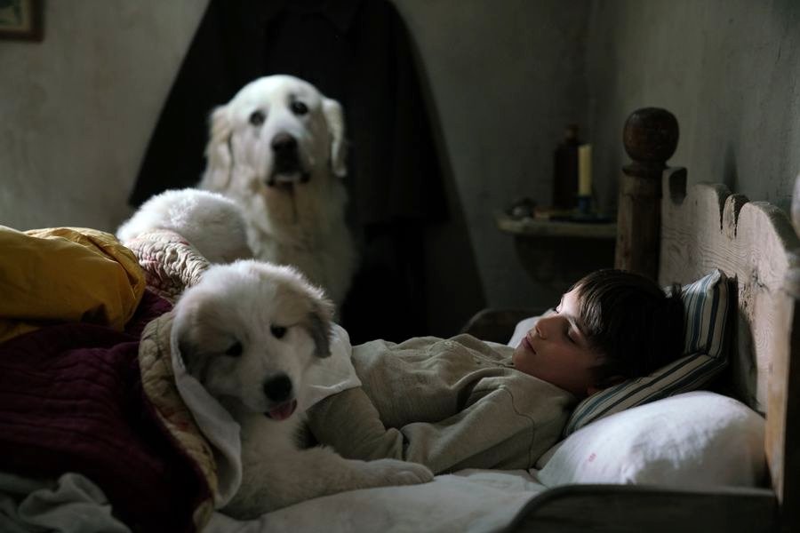 Photo from the movie Belle and Sebastian, Friends for Life