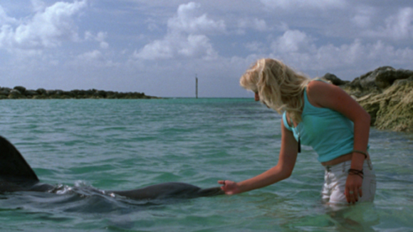 Photo from the movie Eye of the Dolphin