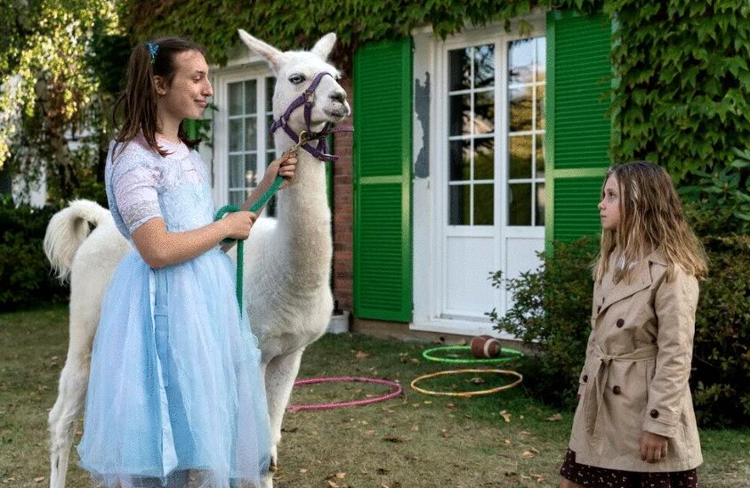 Photo from the movie Family Swap