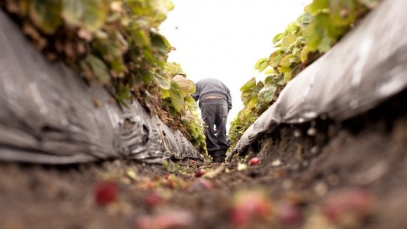 Photo from the movie Food Chains