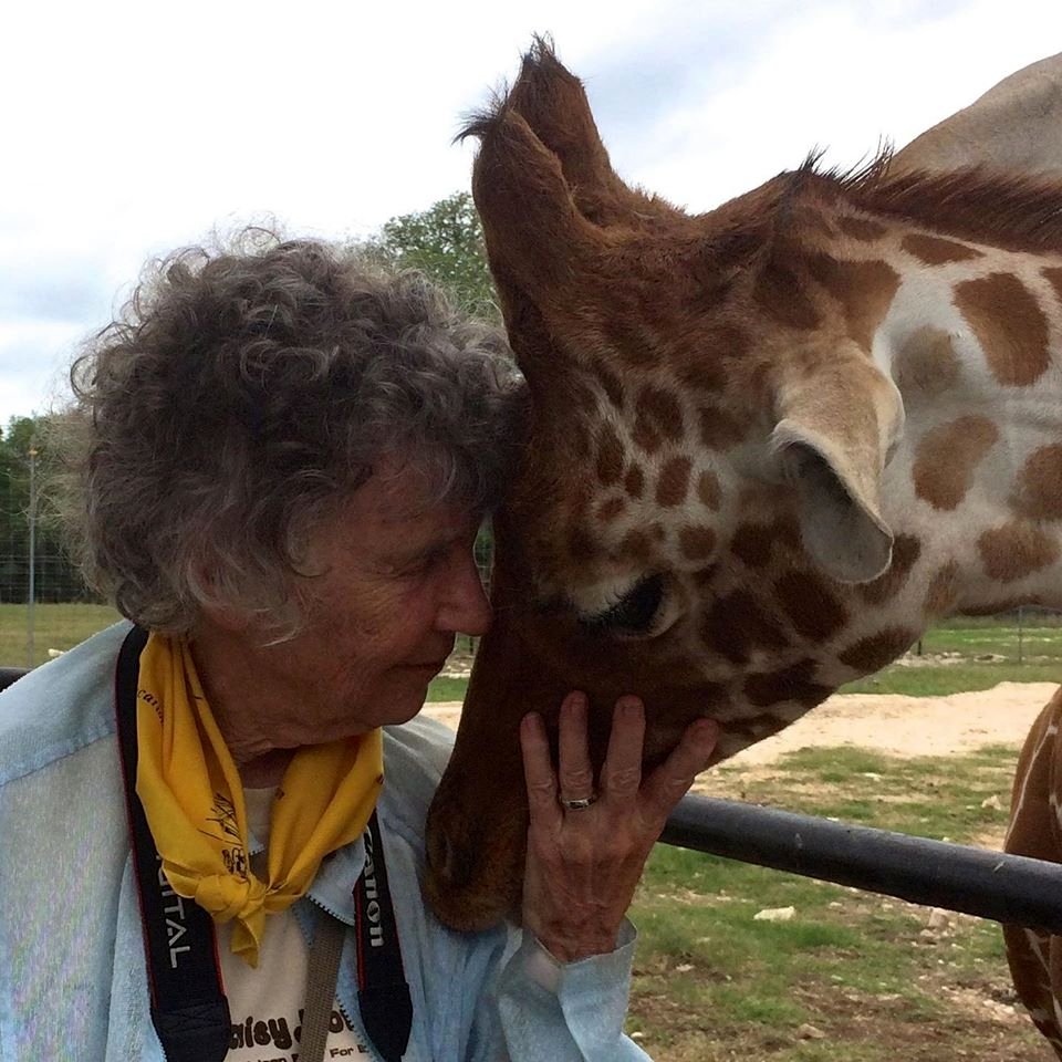Photo from the movie The Woman Who Loves Giraffes