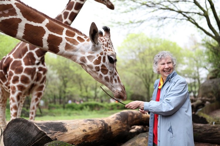 Photo from the movie The Woman Who Loves Giraffes