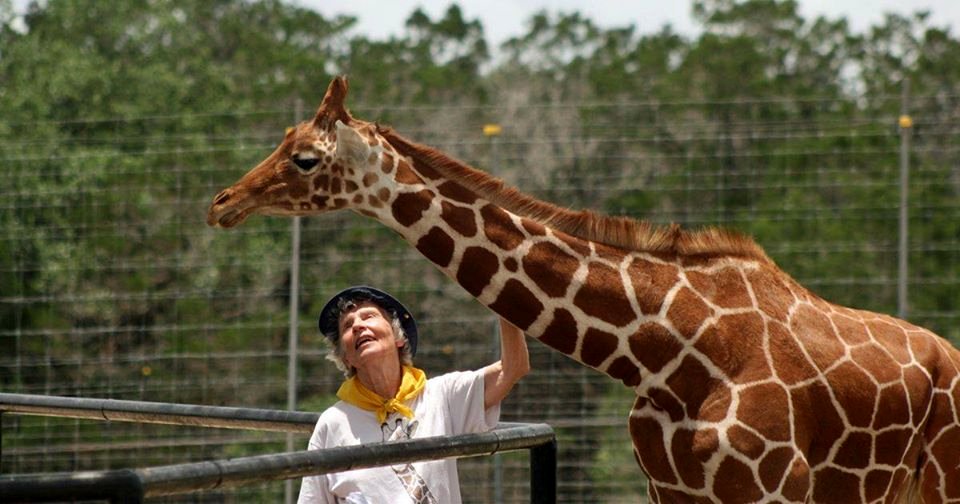Photo from the movie The Woman Who Loves Giraffes
