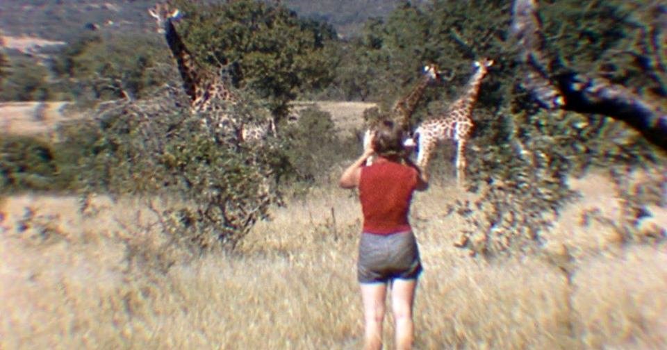 Photo from the movie The Woman Who Loves Giraffes