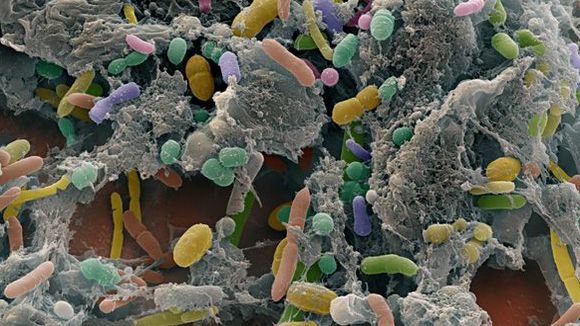 Photo from the movie Mysteries of the Unseen World