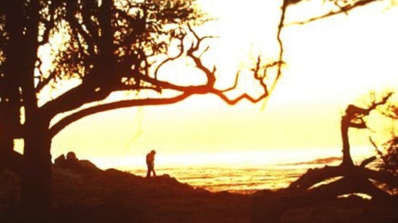 Photo from the movie Play Misty for Me