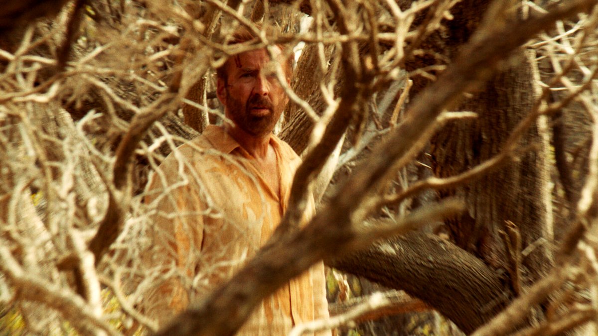 Photo from the movie The Surfer