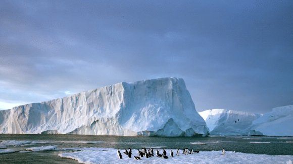 Photo from the movie Antarctica: On the Edge