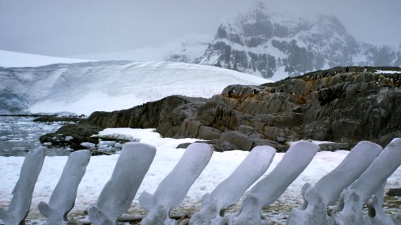 Photo from the movie Antarctica: On the Edge