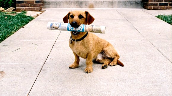 Photo from the movie Garfield: The Movie