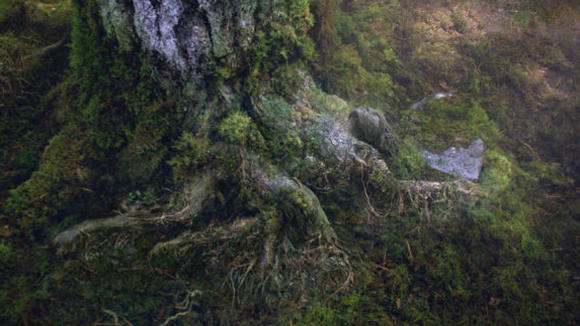 Photo from the movie Percy Jackson: Sea of Monsters