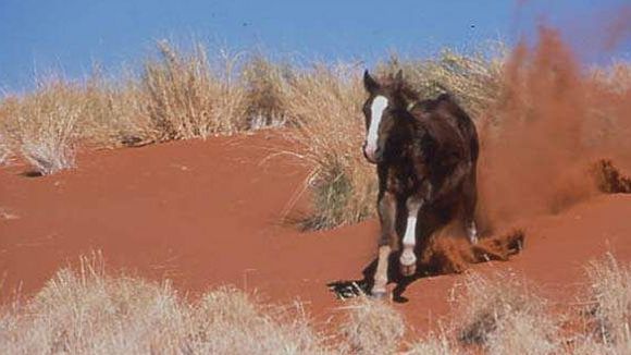 Photo from the movie Running Free