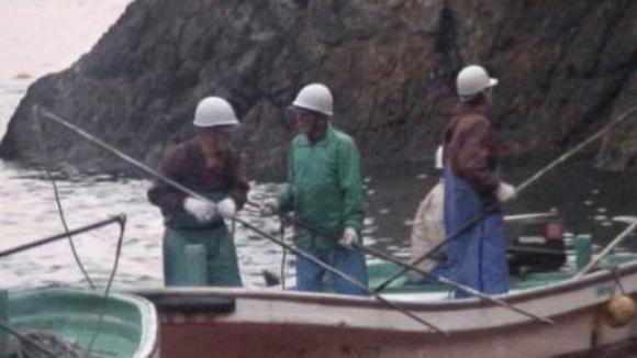 Photo from the movie The Cove