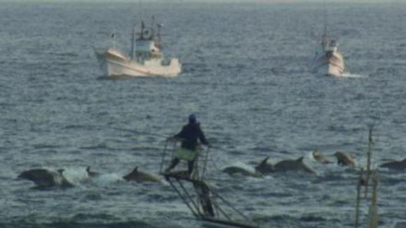 Photo from the movie The Cove