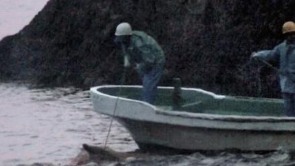 Photo from the movie The Cove