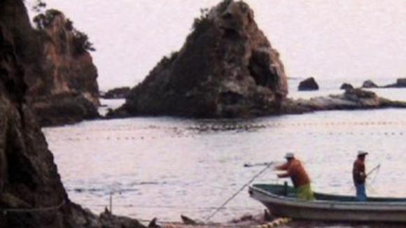 Photo from the movie The Cove