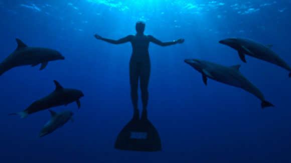 Photo from the movie The Cove