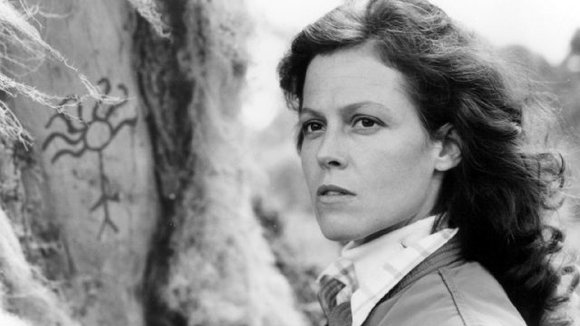 Photo from the movie Gorillas in the Mist