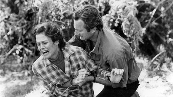 Photo from the movie Gorillas in the Mist