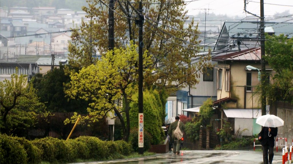 Photo from the movie Blue Gold: American Jeans