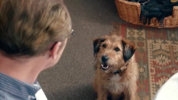 Photo from the movie Absolutely Anything