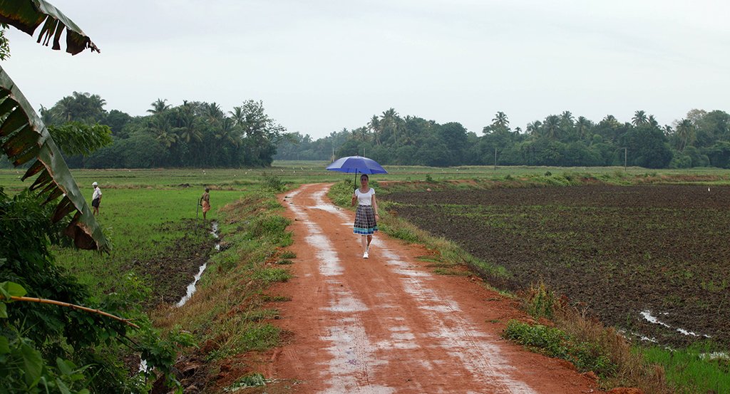 Photo from the movie Basmati Blues