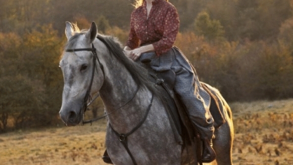 Photo from the movie Hatfields & McCoys