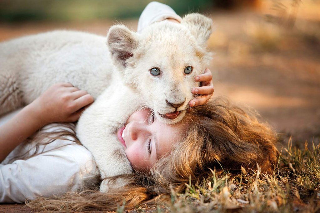 Photo from the movie Mia and the White Lion