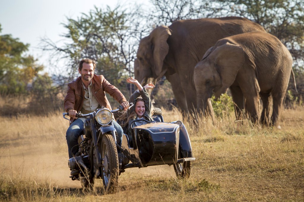 Photo from the movie Mia and the White Lion