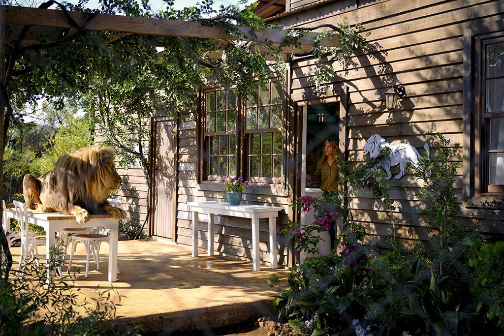 Photo from the movie Mia and the White Lion