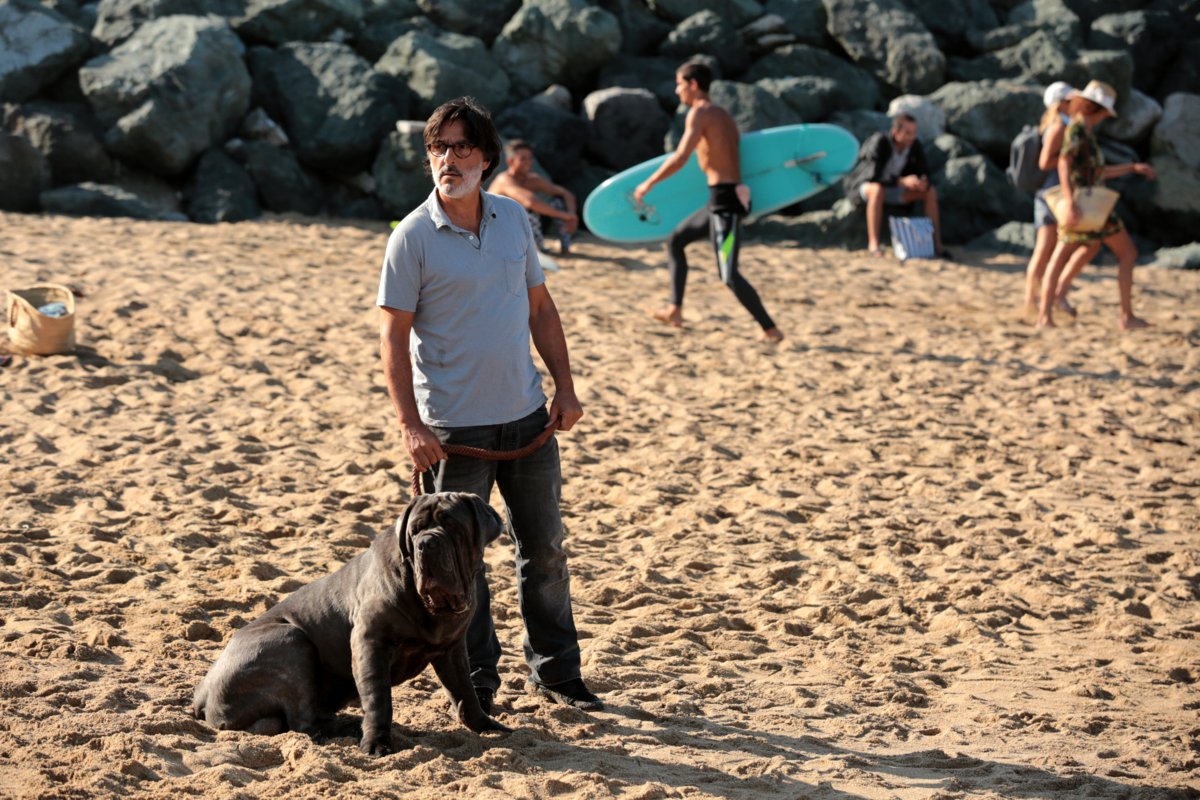 Photo from the movie My Dog Stupid