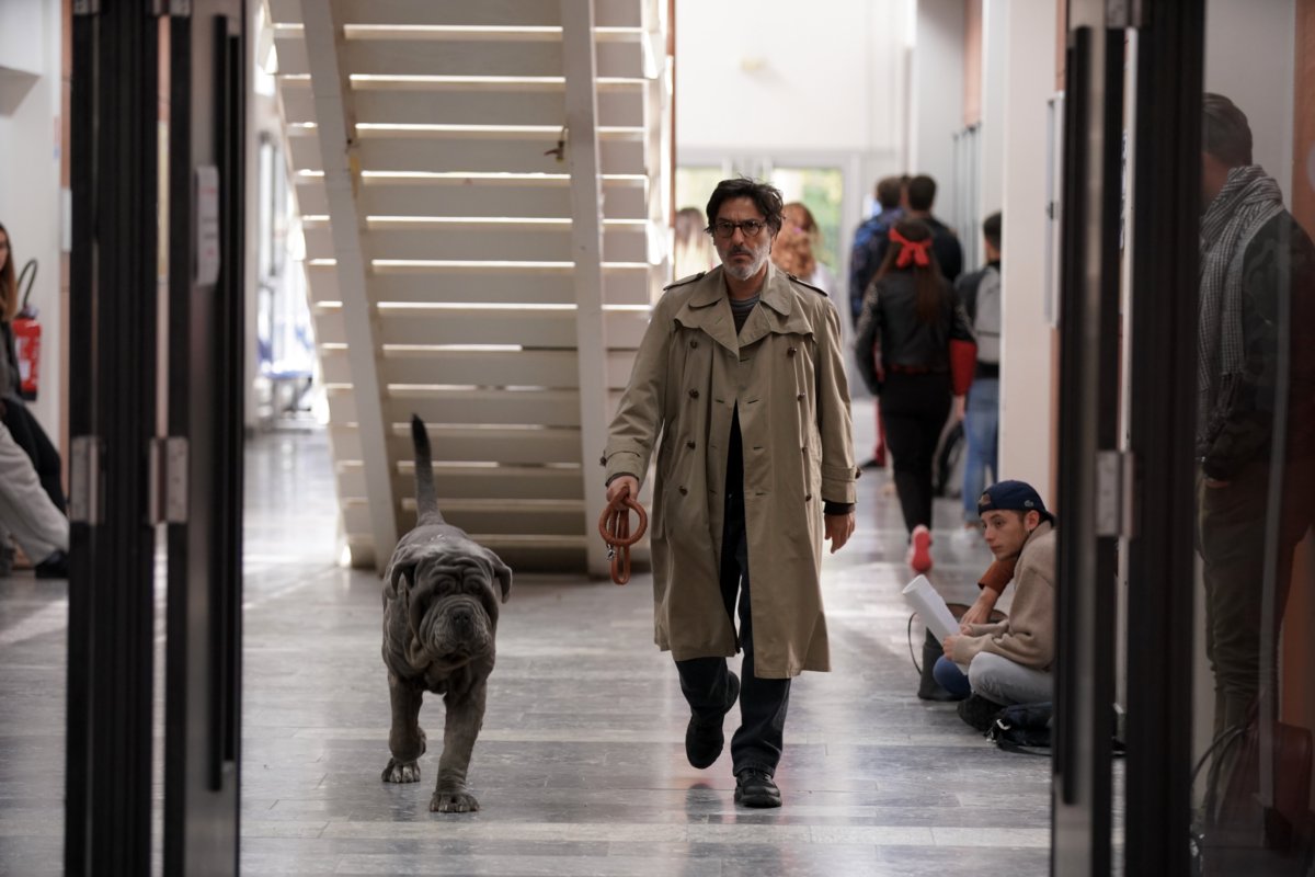 Photo from the movie My Dog Stupid