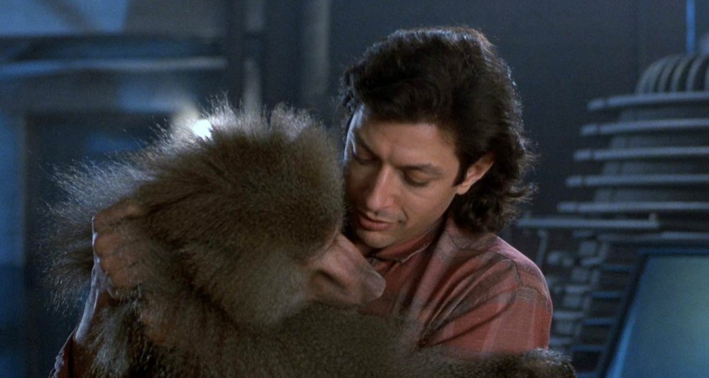 Photo from the movie The Fly