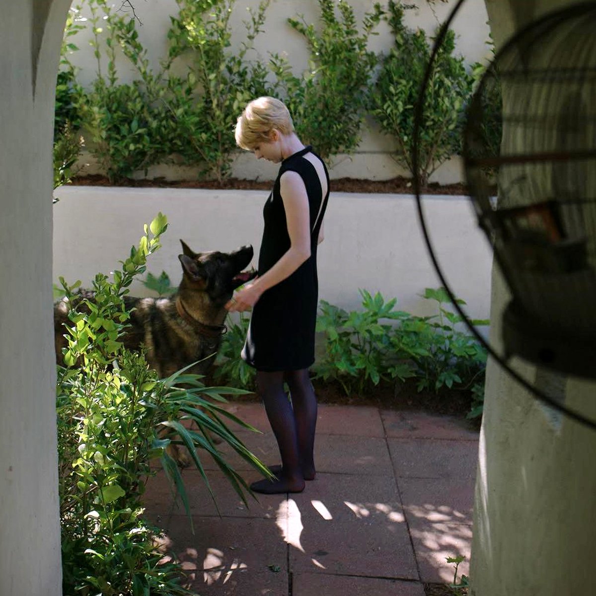 Photo from the movie Chien Blanc