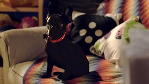 Photo from the movie Knock Knock