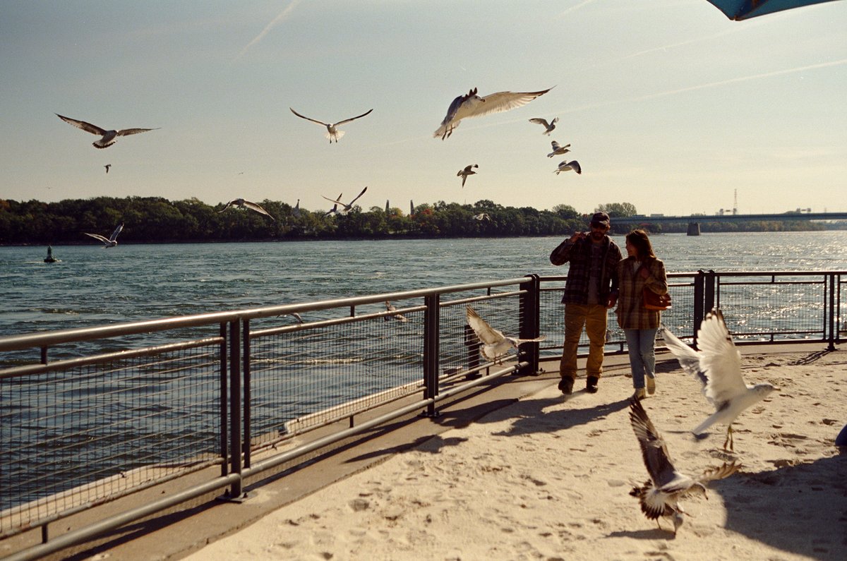 Photo from the movie The Nature of Love