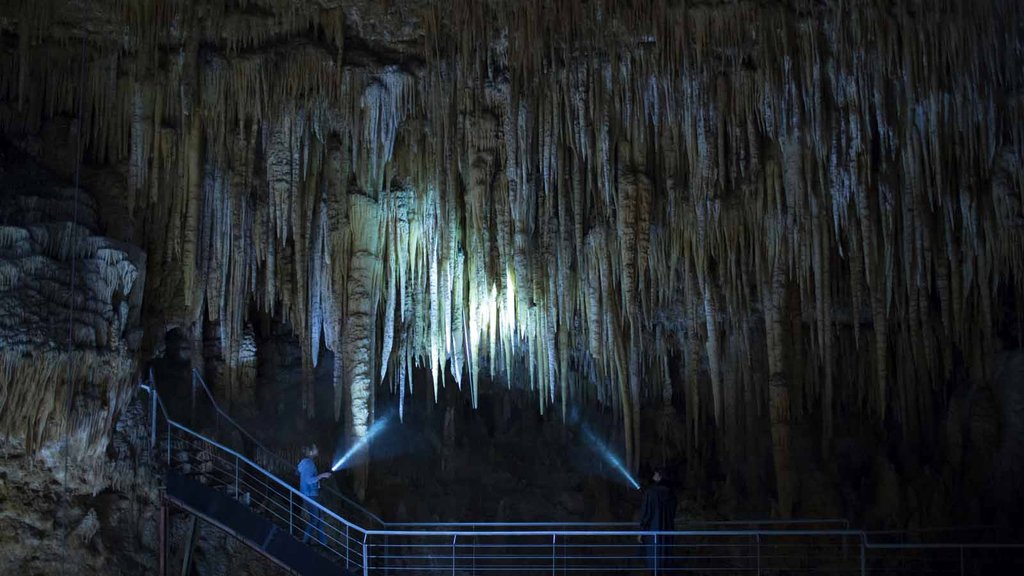 Photo from the movie Savage